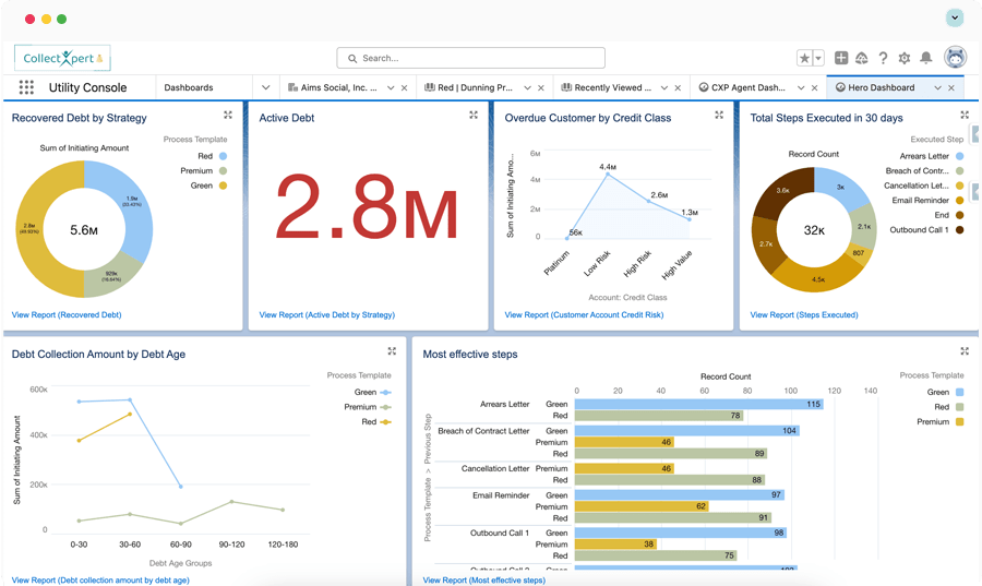 Collections Management Platform